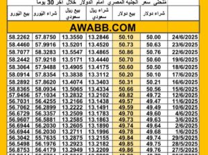 سعر الصرف في مصر اليوم 2025/6/24 م سعر الدولار مقابل الجنيه المصري سعر اليورو مقابل الجنيه المصري سعر الريال السعودي مقابل الجنيه المصري