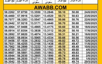 سعر الصرف في مصر اليوم 2025/6/24 م سعر الدولار مقابل الجنيه المصري سعر اليورو مقابل الجنيه المصري سعر الريال السعودي مقابل الجنيه المصري