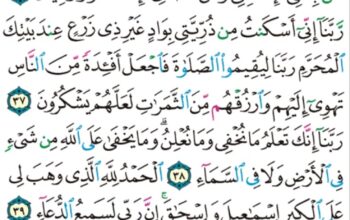 الورد اليومي سورة إبراهيم من الاية 34 إلى الاية 42″و ءاتاكم من كل ما سألتموه و إن تعدوا نعمت الله لا تحصوها إن الإنسان لظلوم كفار”