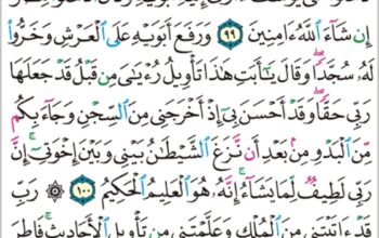 الورد اليومي سورة يوسف من الاية 96 إلى الاية 103″فلما أن جاء البشير القاه على وجهه فارتد بصيراً قال الم اقل لكم اني اعلم من الله ما لا تعلمون”