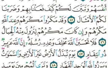 الورد اليومي سورة إبراهيم من الاية 43 إلى الاية 52 ” مهطعين مقنعي رءوسهم لا يرتد إليهم طرفهم و أفئدتهم هواء”