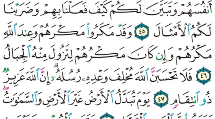 الورد اليومي سورة إبراهيم من الاية 43 إلى الاية 52 ” مهطعين مقنعي رءوسهم لا يرتد إليهم طرفهم و أفئدتهم هواء”