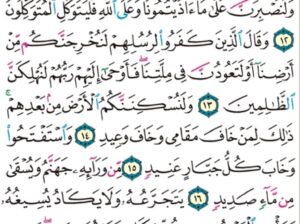 الورد اليومي سورة إبراهيم من الاية 11 إلى الاية 18″قالت لهم رسلهم إن نحن إلا بشر مثلكم و لكن الله يمن على من يشاء من عباده و ما كان لنا أن نأتيكم بسلطان إلا بإذن الله”