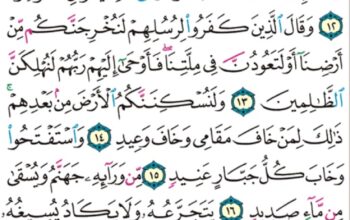 الورد اليومي سورة إبراهيم من الاية 11 إلى الاية 18″قالت لهم رسلهم إن نحن إلا بشر مثلكم و لكن الله يمن على من يشاء من عباده و ما كان لنا أن نأتيكم بسلطان إلا بإذن الله”
