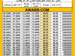 سعر الصرف في مصر اليوم 2025/6/30 م سعر الدولار مقابل الجنيه المصري سعر اليورو مقابل الجنيه المصري سعر الريال السعودي مقابل الجنيه المصري