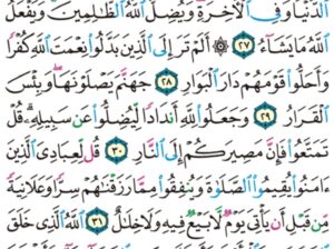 الورد اليومي سورة إبراهيم من الاية 25 إلى الاية 33″تؤتي أكلها كل حين بإذن ريها و يضرب الله الأمثال للناس لعلهم يتذكرون”