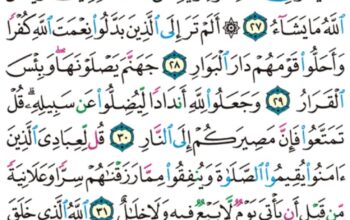 الورد اليومي سورة إبراهيم من الاية 25 إلى الاية 33″تؤتي أكلها كل حين بإذن ريها و يضرب الله الأمثال للناس لعلهم يتذكرون”