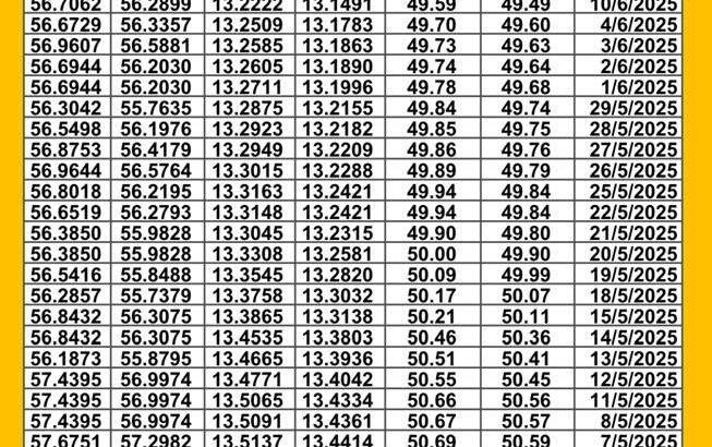 سعر الصرف في مصر اليوم 2025/6/16 م سعر الدولار مقابل الجنيه المصري سعر اليورو مقابل الجنيه المصري سعر الريال السعودي مقابل الجنيه المصري