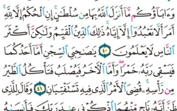 الورد اليومي سورة يوسف من الاية 38 إلى الاية 43 “”و اتبعت ملة ءاباءي إبراهيم و اسحاق و يعقوب”