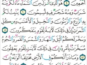 الورد اليومي سورة النحل من الاية 7 إلى الاية 14 “و تحمل أثقالكم إلى بلد لم تكونوا بالغيه إلا بشق الأنفس إن ربك لرؤوف رحيم”