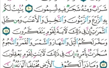 الورد اليومي سورة النحل من الاية 7 إلى الاية 14 “و تحمل أثقالكم إلى بلد لم تكونوا بالغيه إلا بشق الأنفس إن ربك لرؤوف رحيم”