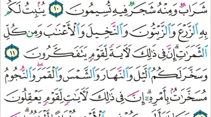الورد اليومي سورة النحل من الاية 7 إلى الاية 14 “و تحمل أثقالكم إلى بلد لم تكونوا بالغيه إلا بشق الأنفس إن ربك لرؤوف رحيم”