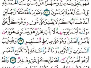 الورد اليومي سورة النحل من الاية 73 إلى الاية 79 “و يعبدون من دون الله ما لا يملك لهم رزقاً من السماوات و الأرض شيئاً و لا يستطيعون”