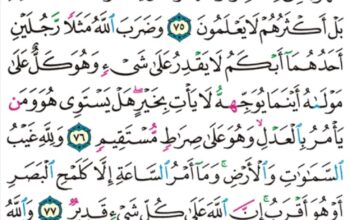 الورد اليومي سورة النحل من الاية 73 إلى الاية 79 “و يعبدون من دون الله ما لا يملك لهم رزقاً من السماوات و الأرض شيئاً و لا يستطيعون”