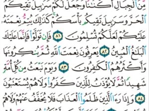 الورد اليومي سورة النحل من الاية 80 إلى الاية 87 “و الله جعل لكم من بيوتكم سكناً و جعل لكم من جلود الأنعام بيوتاً تستخفونها يوم ظعنكم و يوم إقامتكم و من أصوافها و أوبارها “