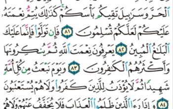 الورد اليومي سورة النحل من الاية 80 إلى الاية 87 “و الله جعل لكم من بيوتكم سكناً و جعل لكم من جلود الأنعام بيوتاً تستخفونها يوم ظعنكم و يوم إقامتكم و من أصوافها و أوبارها “