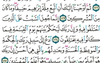 الورد اليومي سورة النحل من الاية 119 إلى الاية 128 “ثم إن ربك للذين عملوا السوء بجهالة ثم تابوا من بعد ذلك و اصلحوا إن ربك من بعدها لغفور رحيم”
