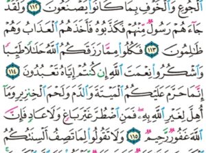 الورد اليومي سورة النحل من الاية 111 إلى الاية 118 “يوم تأتي كل نفس تجادل عن نفسها و توفى كل نفس ما عملت و هم لا يظلمون “