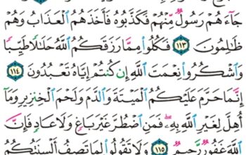 الورد اليومي سورة النحل من الاية 111 إلى الاية 118 “يوم تأتي كل نفس تجادل عن نفسها و توفى كل نفس ما عملت و هم لا يظلمون “
