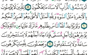 الورد اليومي سورة النحل من الاية 55 إلى الاية 64 “ليكفروا بما ءاتيناهم فتمتعوا فسوف تعلمون”