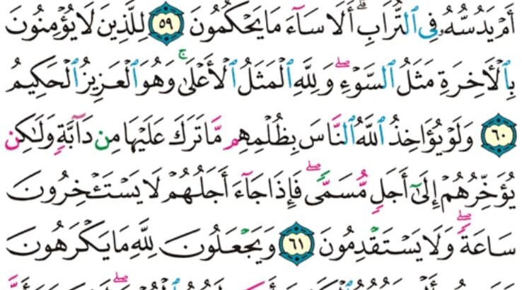 الورد اليومي سورة النحل من الاية 55 إلى الاية 64 “ليكفروا بما ءاتيناهم فتمتعوا فسوف تعلمون”
