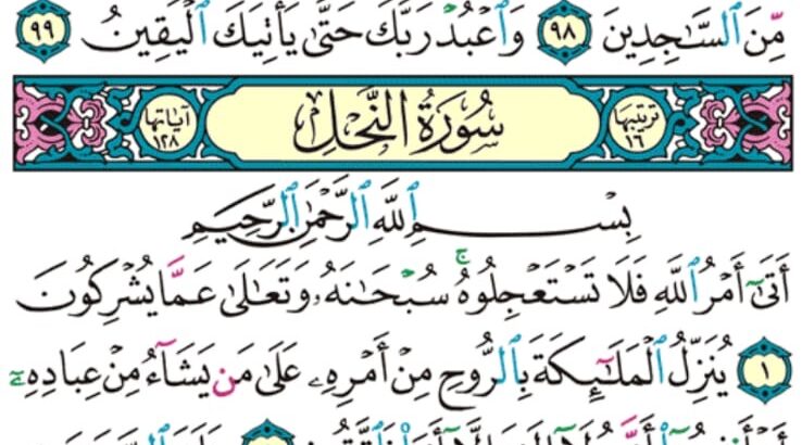 الورد اليومي سورة النحل من الاية 1 إلى الاية 6 “أتى أمر الله فلا تستعجلوه سبحانه و تعالى عما يشركون”