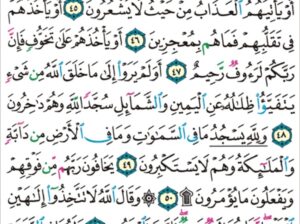الورد اليومي سورة النحل من الاية 43 إلى الاية 54 “و ما أرسلنا من قبلك إلا رجالاً نوحِي إليهم فسئلوا أهل الذكر إن كنتم لا تعلمون”