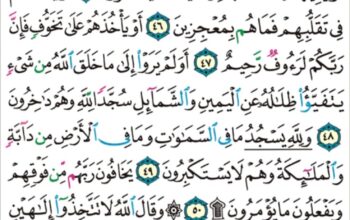 الورد اليومي سورة النحل من الاية 43 إلى الاية 54 “و ما أرسلنا من قبلك إلا رجالاً نوحِي إليهم فسئلوا أهل الذكر إن كنتم لا تعلمون”