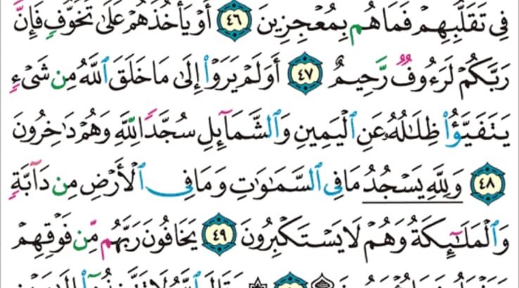 الورد اليومي سورة النحل من الاية 43 إلى الاية 54 “و ما أرسلنا من قبلك إلا رجالاً نوحِي إليهم فسئلوا أهل الذكر إن كنتم لا تعلمون”