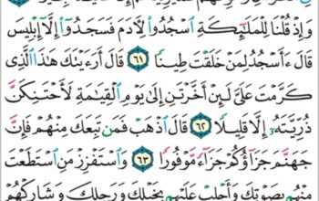 الورد اليومي سورة الإسراء من الاية 59 إلى الاية 66 “و ما منعنا أن نرسل بالآيات إلا ان كذب بها الأولون و ءاتينا ثمود الناقة مبصرةً فظلموا بها و ما نرسل بالآيات إلا تخويفاً “