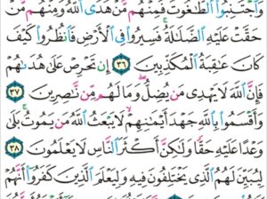 الورد اليومي سورة النحل من الاية 35 إلى الاية 42 “و قال اللذين أشركوا لو شاء الله ما عبدنا من دونه من شيء نحن و لا ءاباؤنا و لا حرمنا من دونه من شيء”