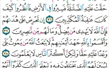 الورد اليومي سورة النحل من الاية 35 إلى الاية 42 “و قال اللذين أشركوا لو شاء الله ما عبدنا من دونه من شيء نحن و لا ءاباؤنا و لا حرمنا من دونه من شيء”