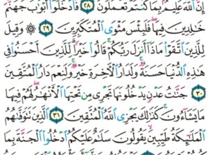 الورد اليومي سورة النحل من الاية 27 إلى الاية 34 “ثم يوم القيامة يخزيهم و يقول أين شركاءي اللذين كنتم تشاقون فيهم قال اللذين اوتوا العلم إن الخزي اليوم و السوء على الكافرين”