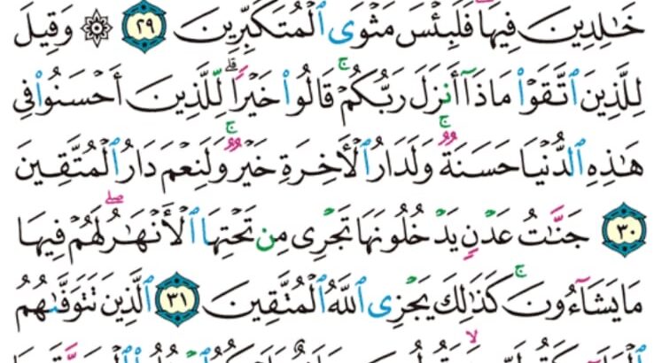 الورد اليومي سورة النحل من الاية 27 إلى الاية 34 “ثم يوم القيامة يخزيهم و يقول أين شركاءي اللذين كنتم تشاقون فيهم قال اللذين اوتوا العلم إن الخزي اليوم و السوء على الكافرين”