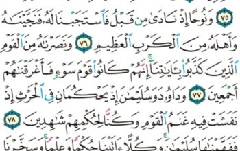 الورد اليومي سورة الأنبياء من الاية 73 إلى الاية 81 ” و جعلناهم أئمةً يهدون بأمرنا و أوحينا إليهم فعل الخيرات و إقام الصلاة و إيتاء الزكاة و كانوا لنا عابدين”