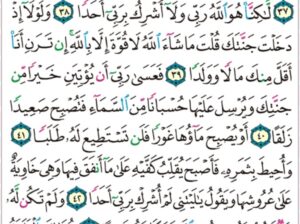 الورد اليومي سورة الكهف من الاية 35 إلى الاية 45″و دخل جنته و هو ظالم لنفسه قال ما اظن ان تبيد هذه ابدا”