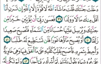 الورد اليومي سورة الكهف من الاية 35 إلى الاية 45″و دخل جنته و هو ظالم لنفسه قال ما اظن ان تبيد هذه ابدا”