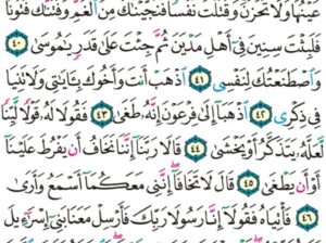 الورد اليومي سورة طه من الاية 38 إلى الاية 51″ إذ أوحينل إلى أمك ما يوحى أن اقذفيه في اليم فليقله اليم بالساحل يأخذه عدو لي وعدو له و ألقيت عليك محبة مني و لتصنع على عيني”