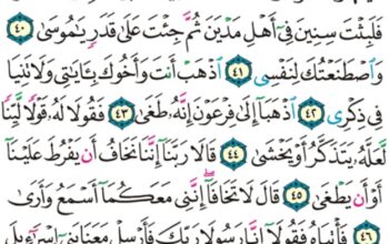 الورد اليومي سورة طه من الاية 38 إلى الاية 51″ إذ أوحينل إلى أمك ما يوحى أن اقذفيه في اليم فليقله اليم بالساحل يأخذه عدو لي وعدو له و ألقيت عليك محبة مني و لتصنع على عيني”
