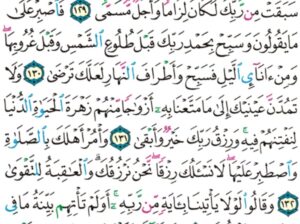 الورد اليومي سورة طه من الاية 126 إلى الاية 135″قال كذلك أتتك ءايتنا فنسيتها و كذلك اليوم تنسى”