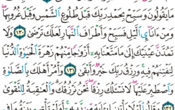 الورد اليومي سورة طه من الاية 126 إلى الاية 135″قال كذلك أتتك ءايتنا فنسيتها و كذلك اليوم تنسى”