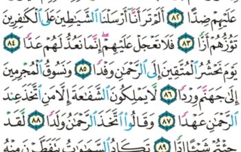 الورد اليومي سورة مريم من الاية 77 إلى الاية 95″ أفرءيت الذي كفر بأياتنا و قال لاوتين مالاً و ولدا”