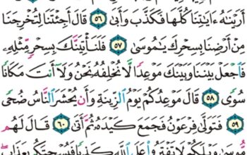 الورد اليومي سورة طه من الاية 52 إلى الاية 64″ قال علمها عند ربي في كتاب لا يضل ربي وَ لا ينسى”