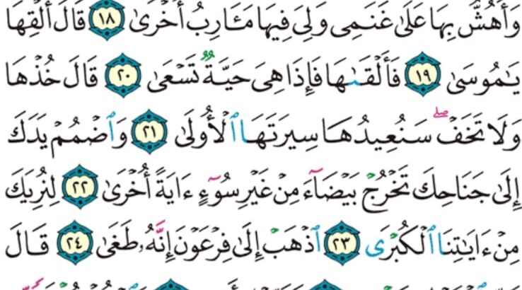 الورد اليومي سورة طه من الاية 13 إلى الاية 37″و أنا اخترتك فاستمع لما يوحى إنني أنا الله لا إله إلا أنا فاعبدني و اقم الصلاة لذكري”