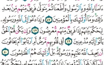 الورد اليومي سورة النور من الاية 44 إلى الاية 53 “يقلب الله الليل و النهار إن في ذلك لعبرة لأولي الأبصار”