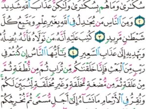 الورد اليومي سورة الحج من الاية 1 إلى الاية 5 “يا أيها الناس اتقوا ربكم إن زلزلة الساعة شيء عظيم”