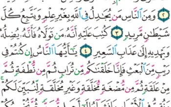 الورد اليومي سورة الحج من الاية 1 إلى الاية 5 “يا أيها الناس اتقوا ربكم إن زلزلة الساعة شيء عظيم”