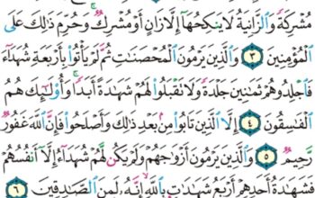 الورد اليومي سورة النور من الاية 1 إلى الاية 10 “سورة أنزلناها و فرضناها و أنزلنا فيها ايات بينات لعلكم تذكرون”