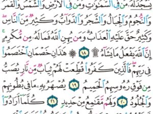 الورد اليومي سورة الحج من الاية 16 إلى الاية 23 “و كذلك أنزلناه ءايات بينات و أن الله يهدي من يريد”