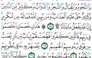 الورد اليومي سورة الحج من الاية 16 إلى الاية 23 “و كذلك أنزلناه ءايات بينات و أن الله يهدي من يريد”